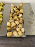 Fermented noni fruit on freeze-dryer trays at Karuna Miracle Gardens
